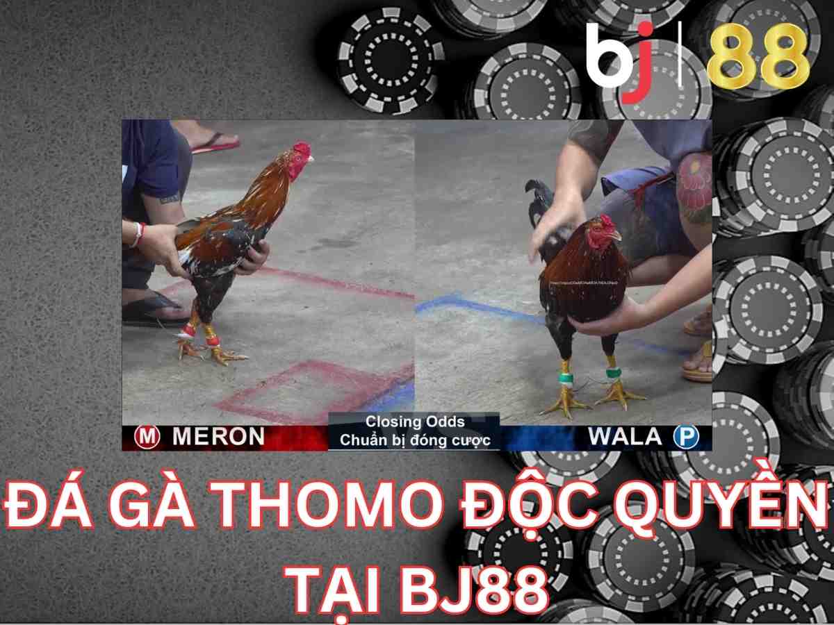 Bj88 trang cá cược trực tuyến hàng đầu Việt Nam (8)