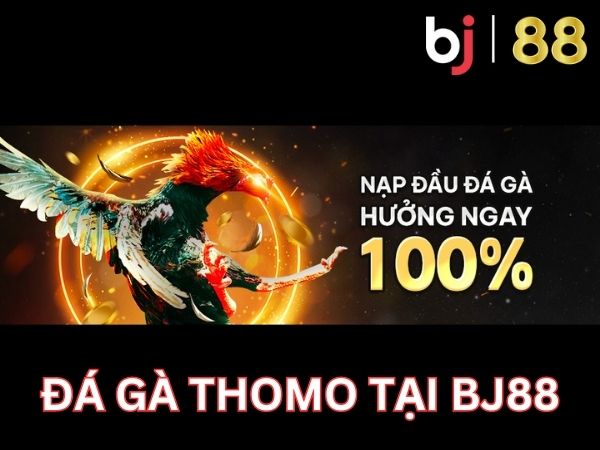 Đá gà thomo tại Bj88 (4)